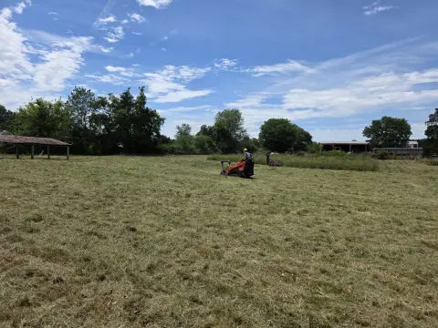 The Farm After