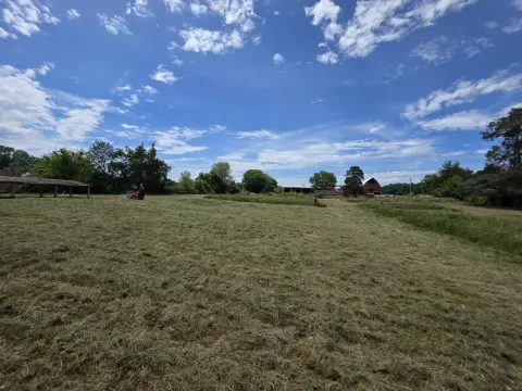 The Farm After