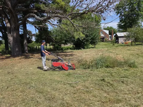 The Farm After