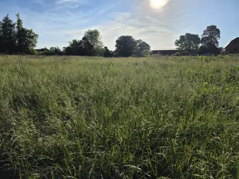 The Farm Before