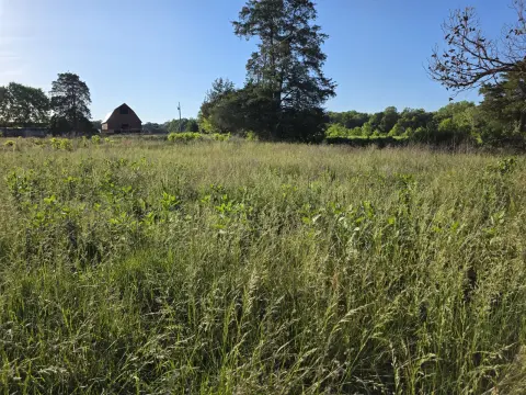 The Farm Before