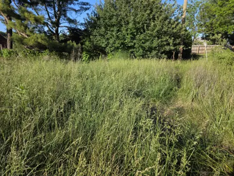 The Farm Before
