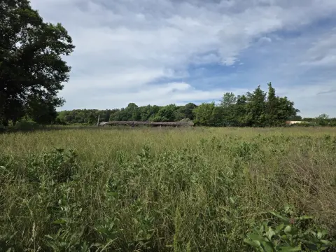 The Farm Before