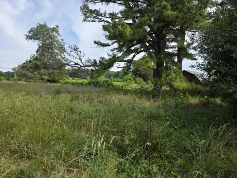 The Farm Before