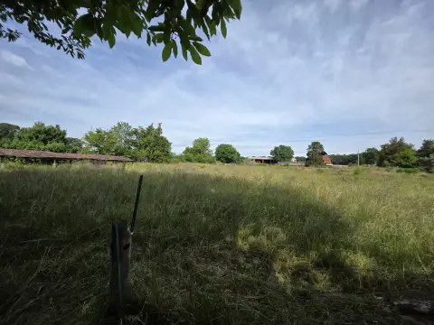 The Farm Before