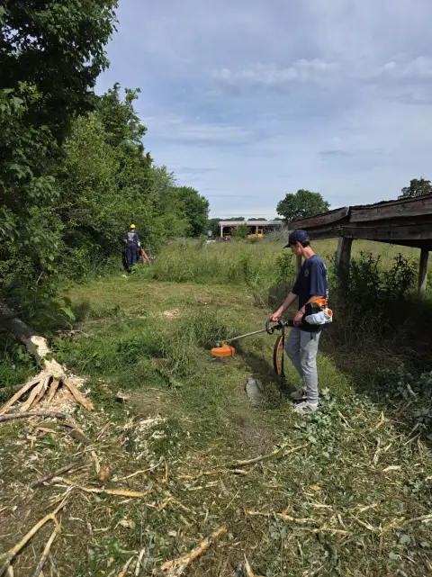 The Farm Before