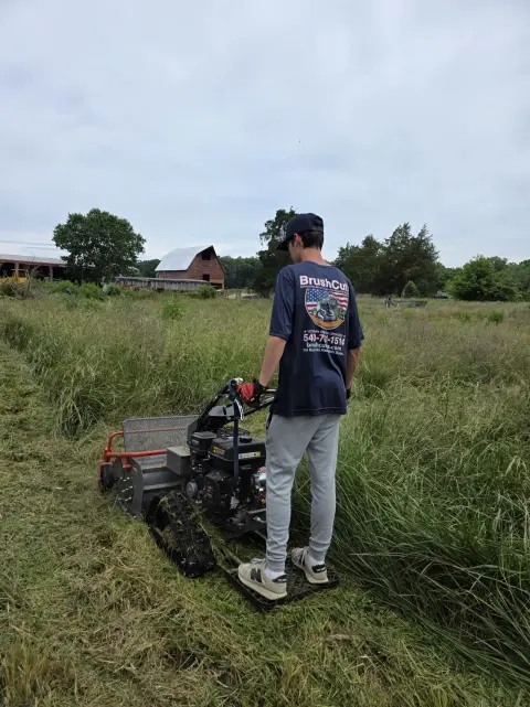 The Farm Before