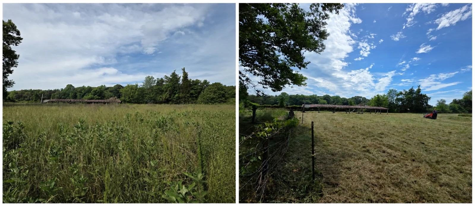 The Farm before and after