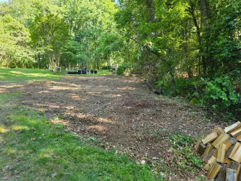 The Garden After
