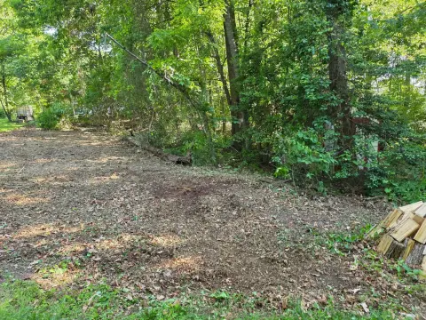 The Garden After