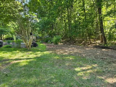 The Garden After