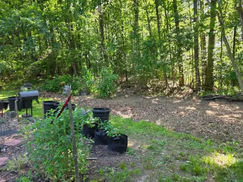 The Garden After