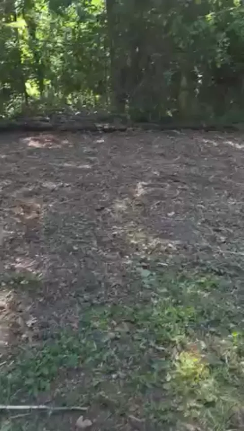 The Garden After video preview