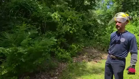 The Garden Before video preview