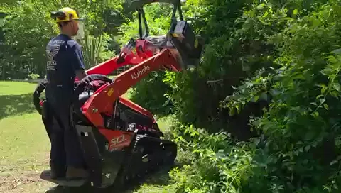 The Garden Before video preview