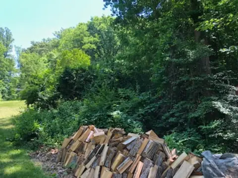 The Garden Before