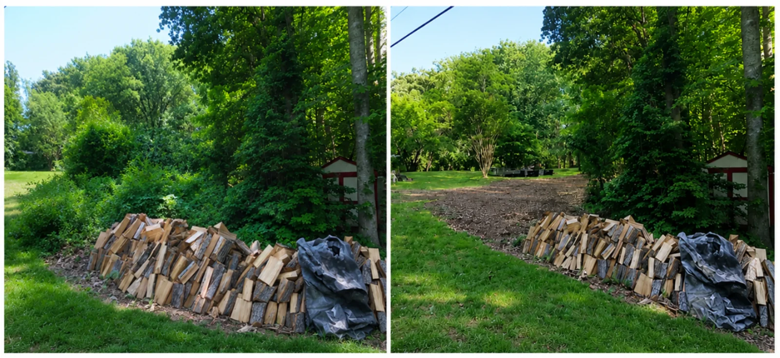 The Garden before and after