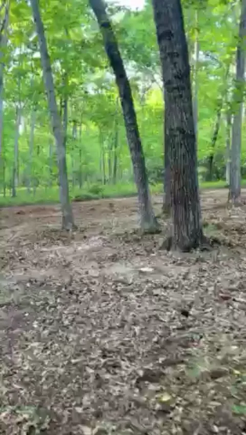 The General After video preview