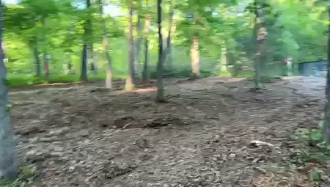 The General After video preview