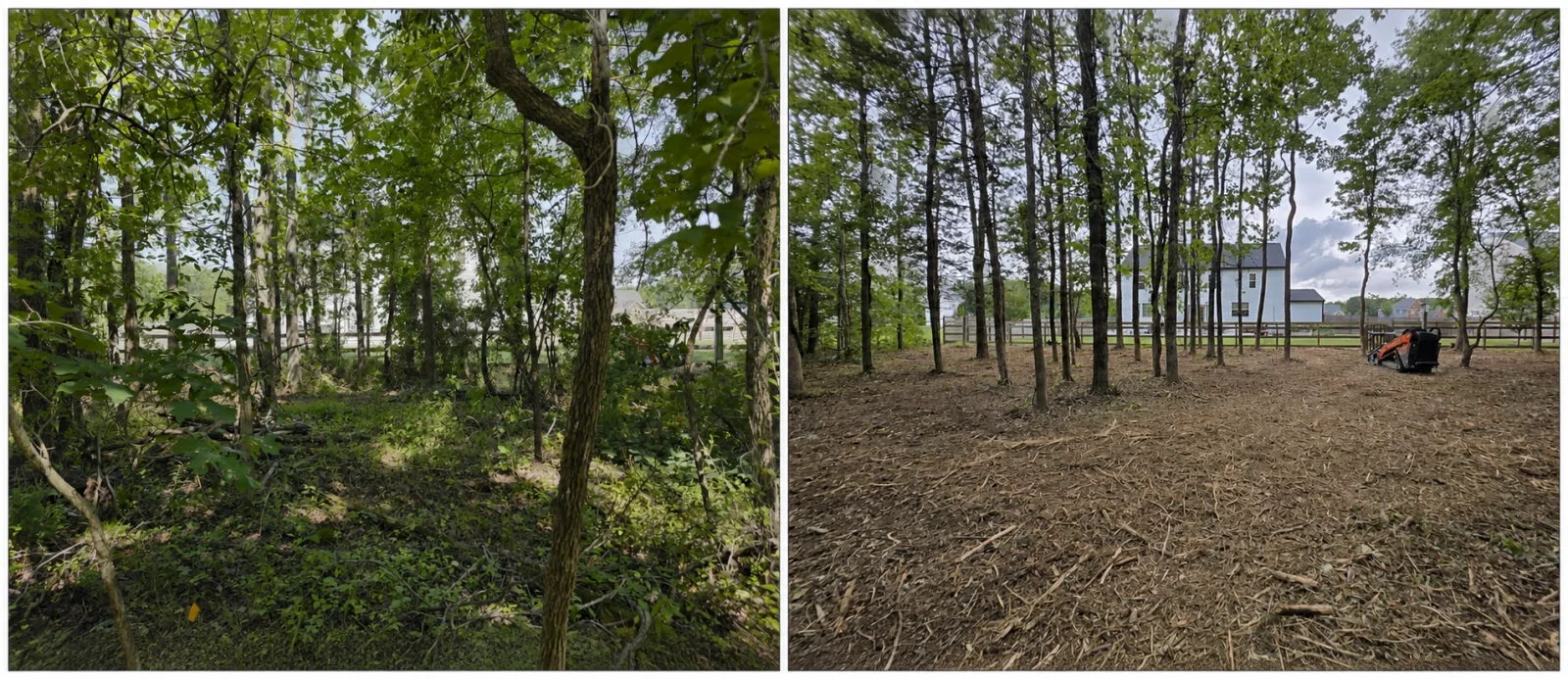 The Liberty before and after