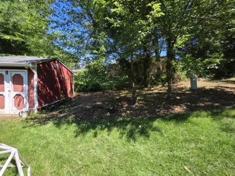 The Shed After