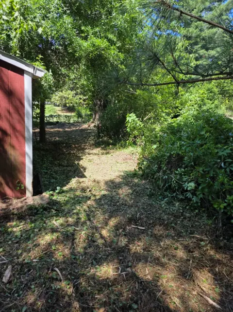 The Shed After