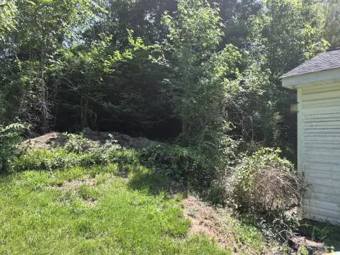 The Shed Before