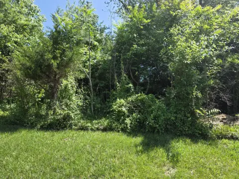 The Shed Before